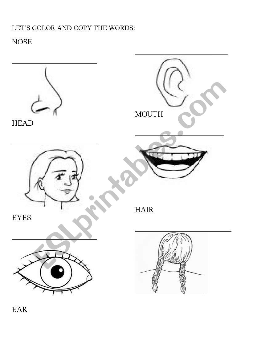 PARTS OF YOUR FACE worksheet