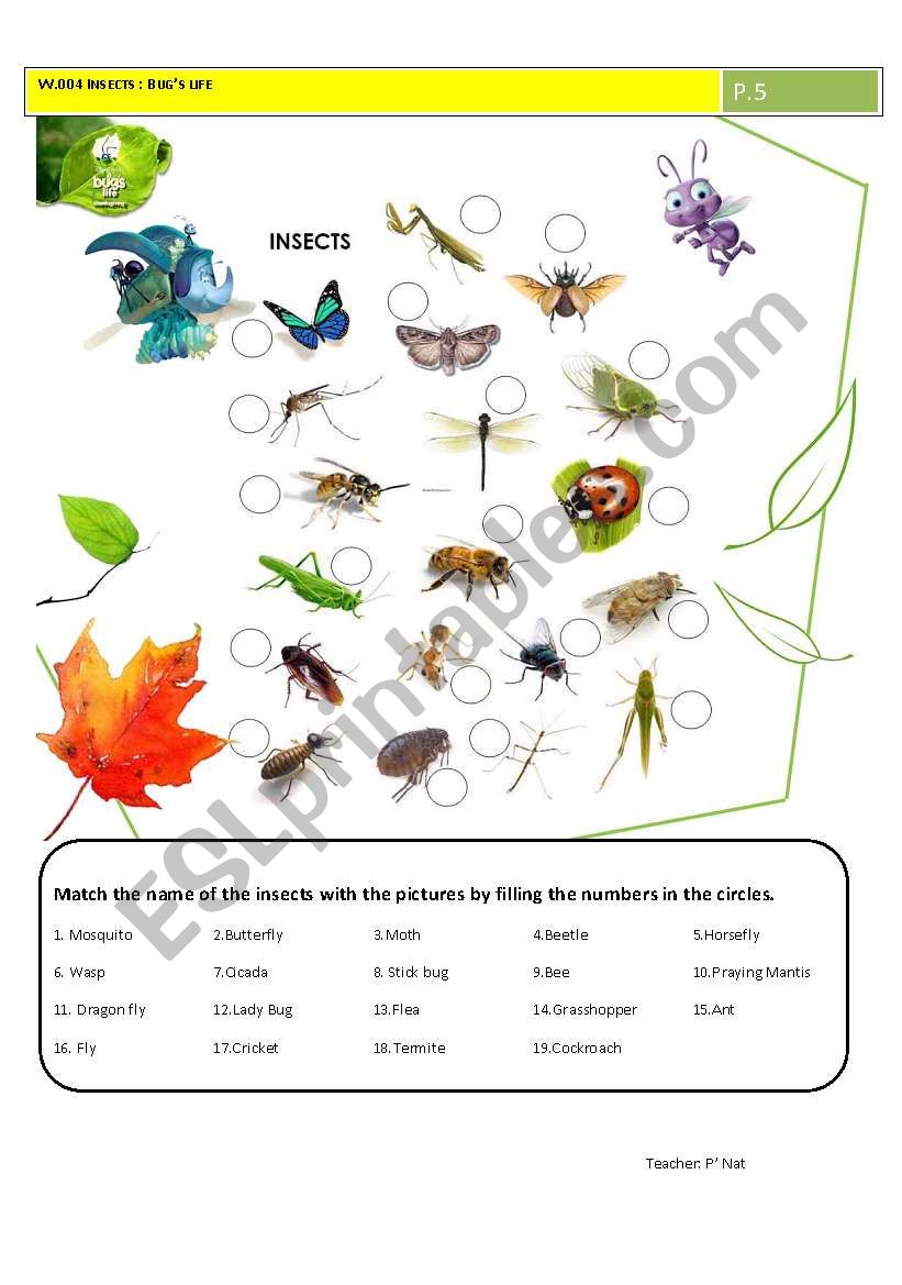 Bugs life worksheet worksheet