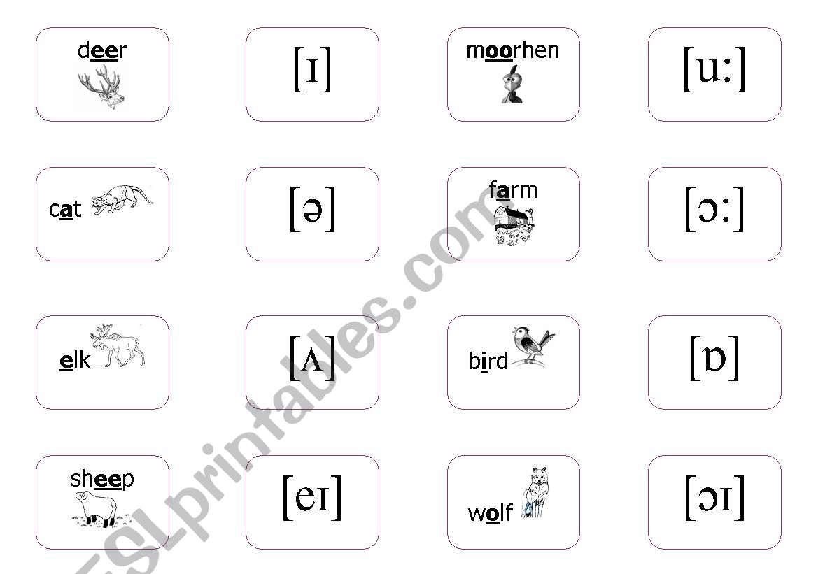 The International Phonetic Alphabet File Cards 1 3 Esl Worksheet By Alkje