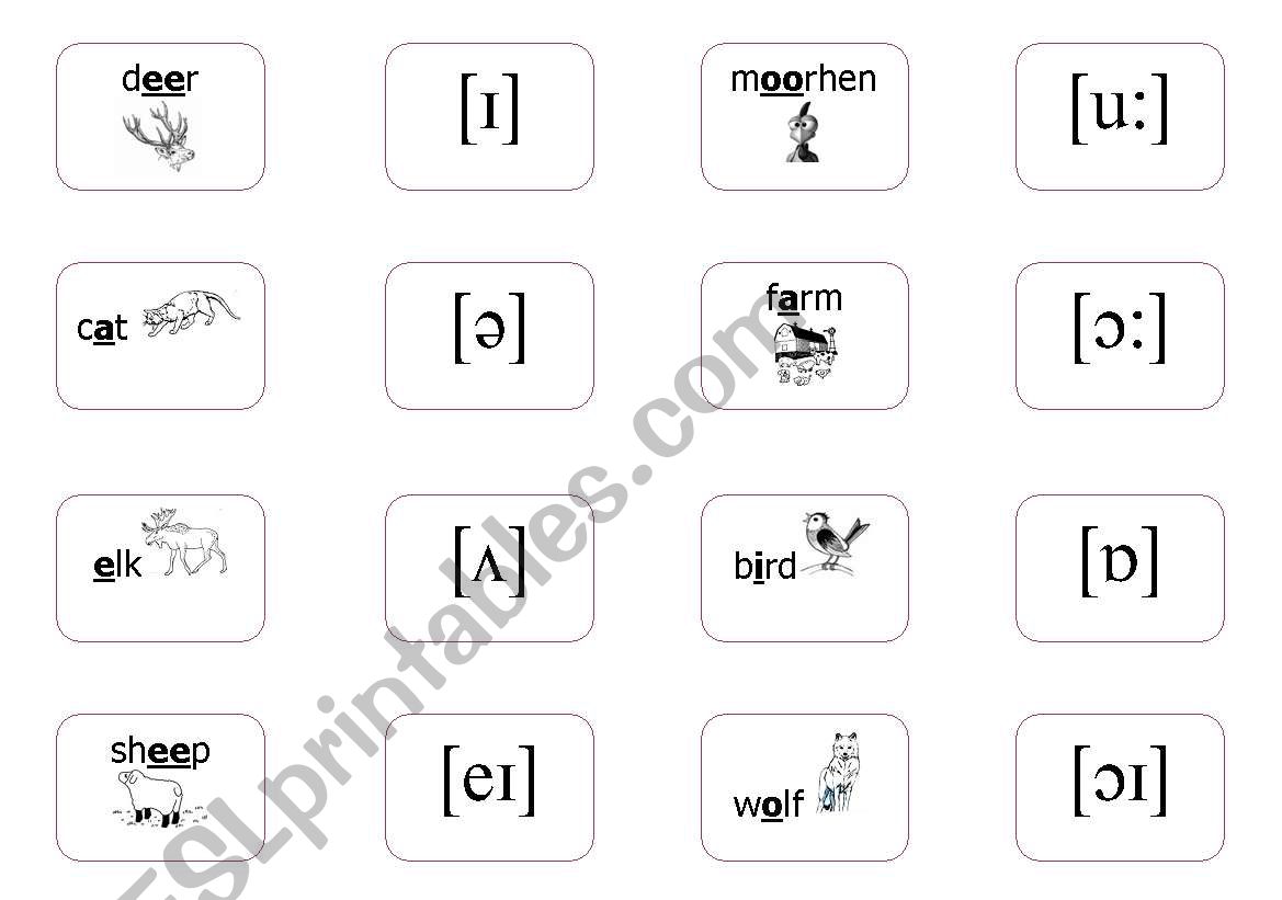 The International Phonetic Alphabet - File cards 1/3