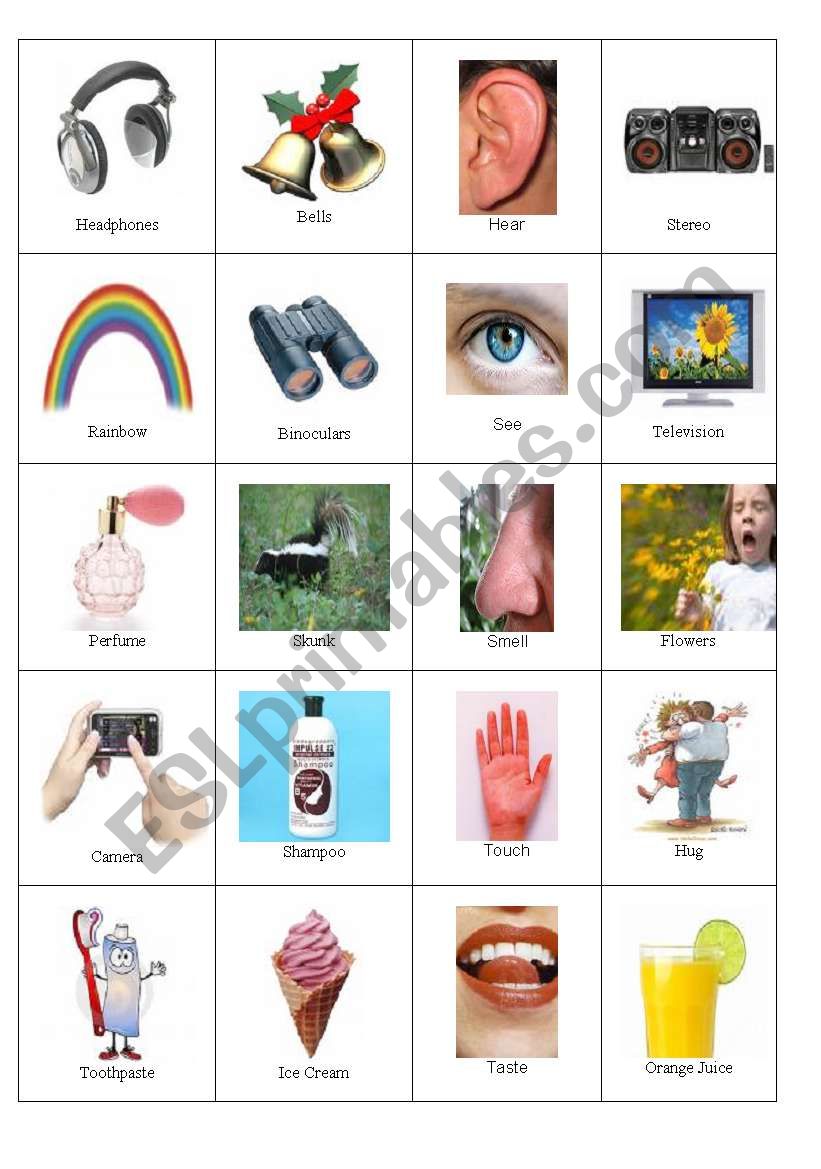 5 Senses Cards and Game worksheet