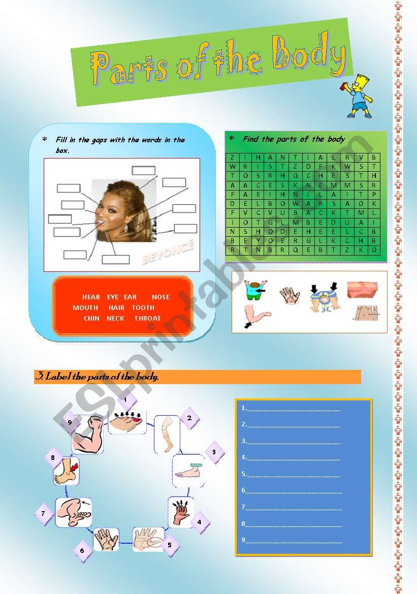Parts of the body activity worksheet