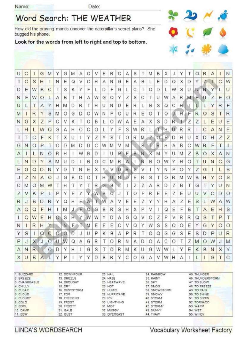 WORDSEARCH: THE WEATHER worksheet