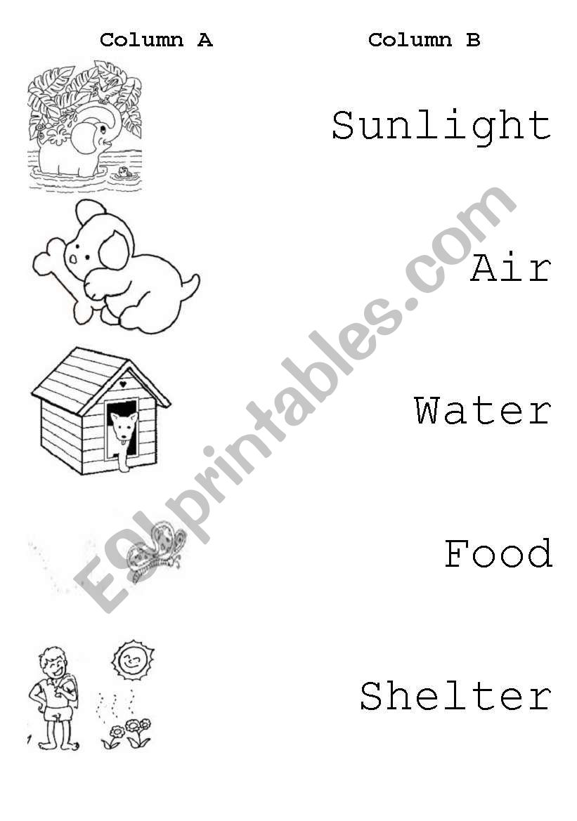 Living things worksheet