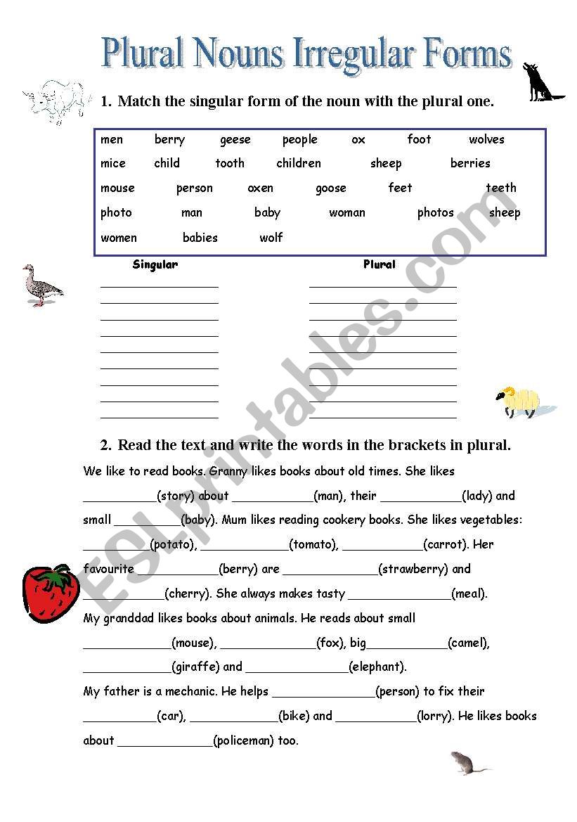 Plural Nouns Irregular Forms ESL Worksheet By Pinkrose F 