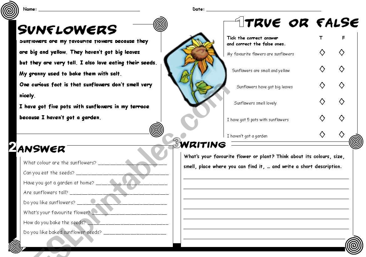 Sunflowers reading worksheet