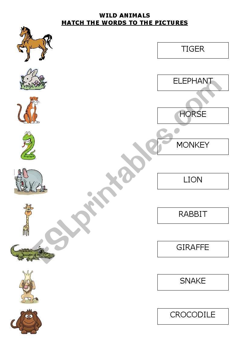 WILD ANIMALS worksheet