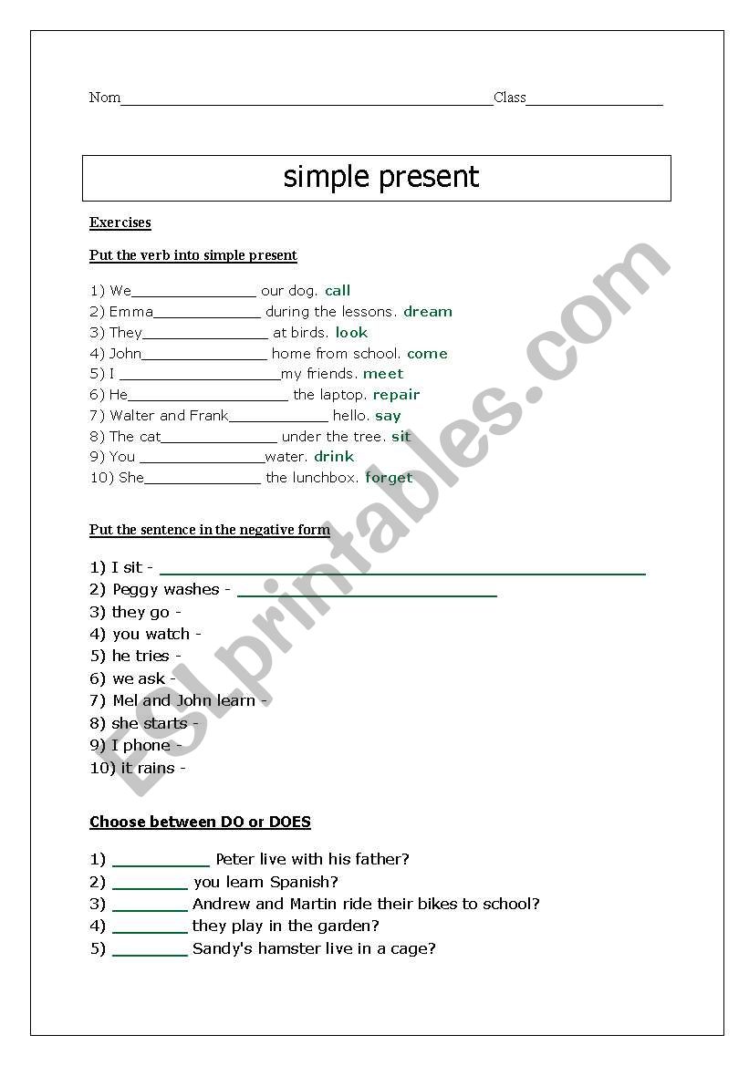 simple present worksheet