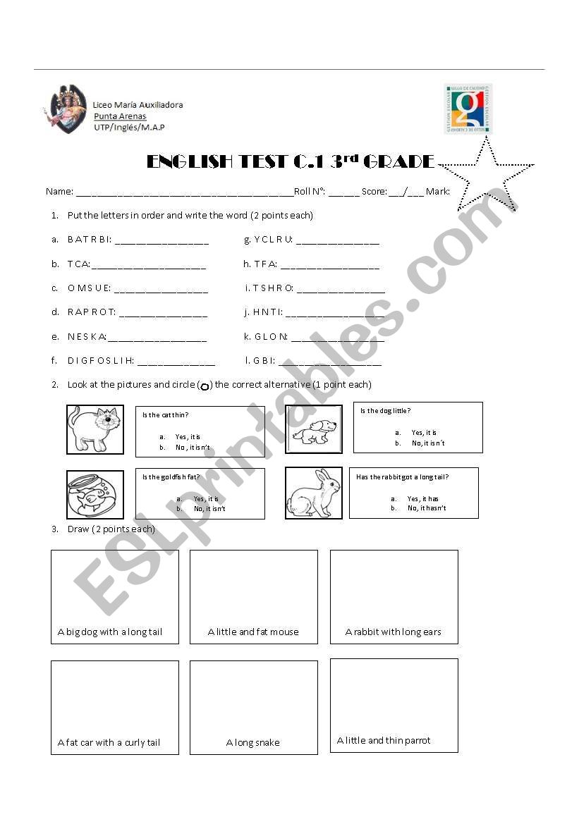 Adjectives and animals test worksheet