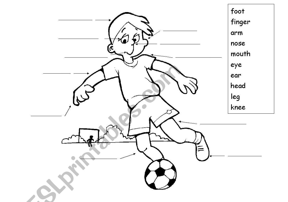 Body Parts worksheet