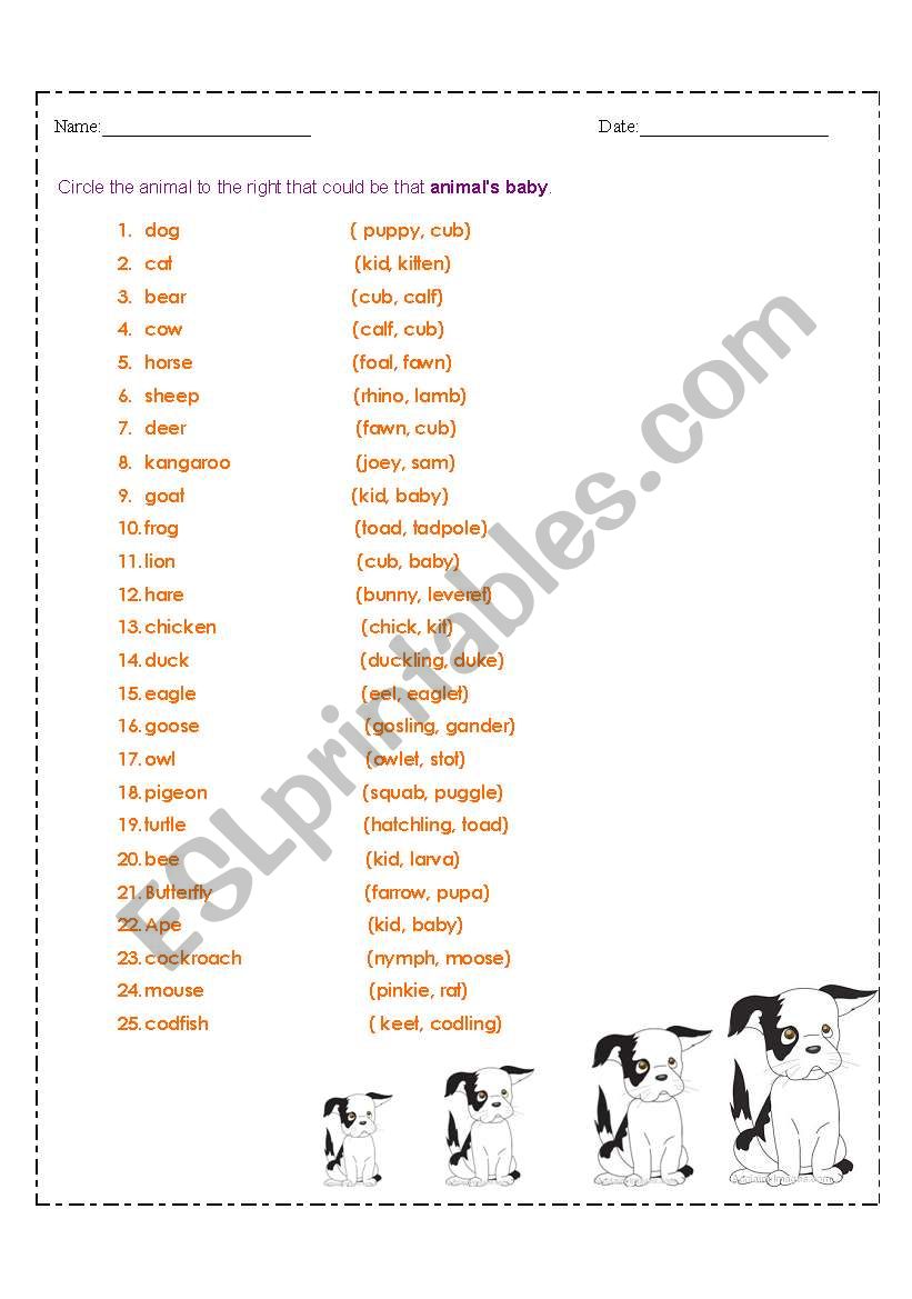Animal and its Young - ESL worksheet by Tanuja1809
