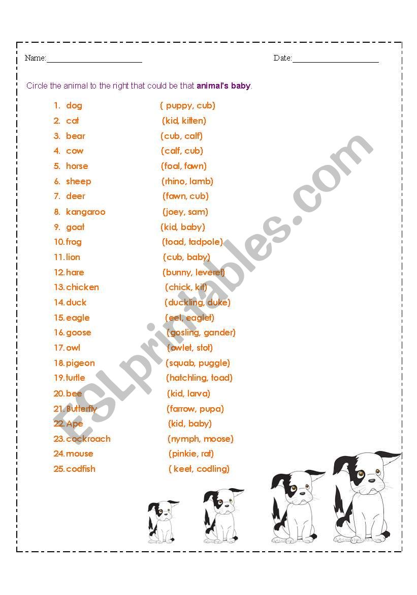 Animal and its Young worksheet