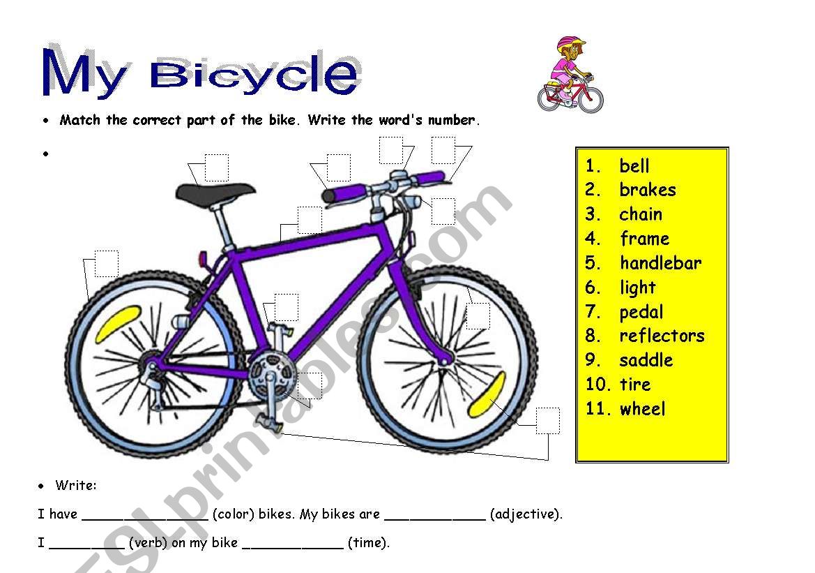 my bicycle worksheet