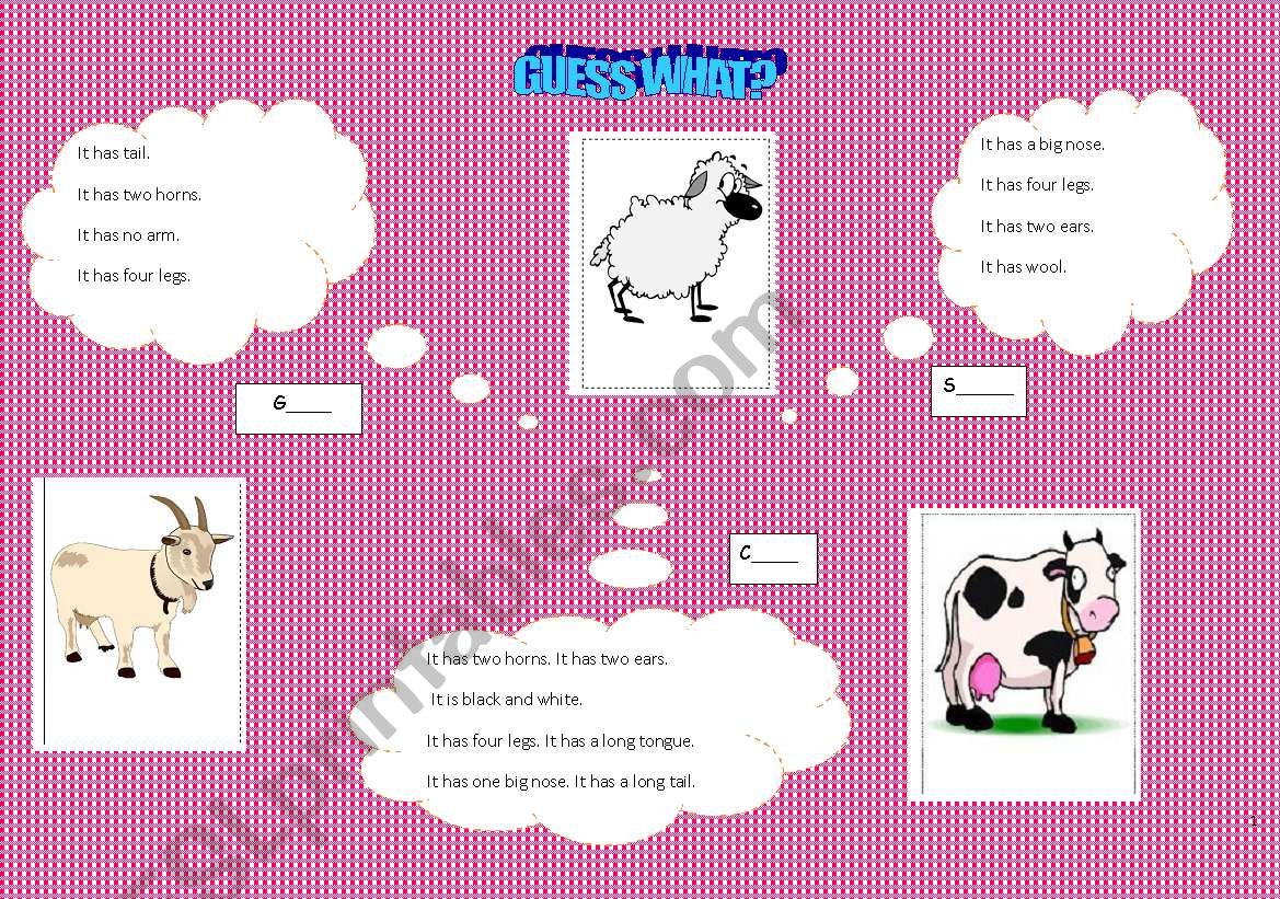 Guess What? worksheet