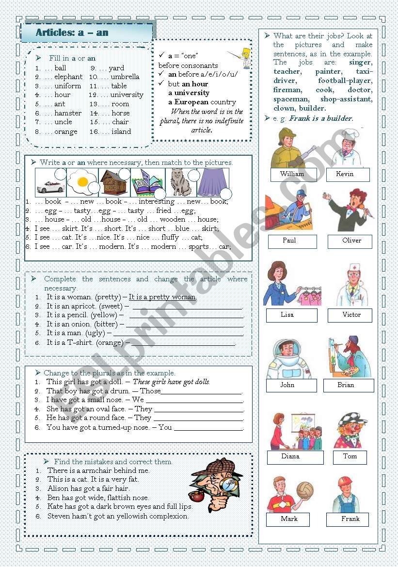 The Indefinite Article: a/an worksheet