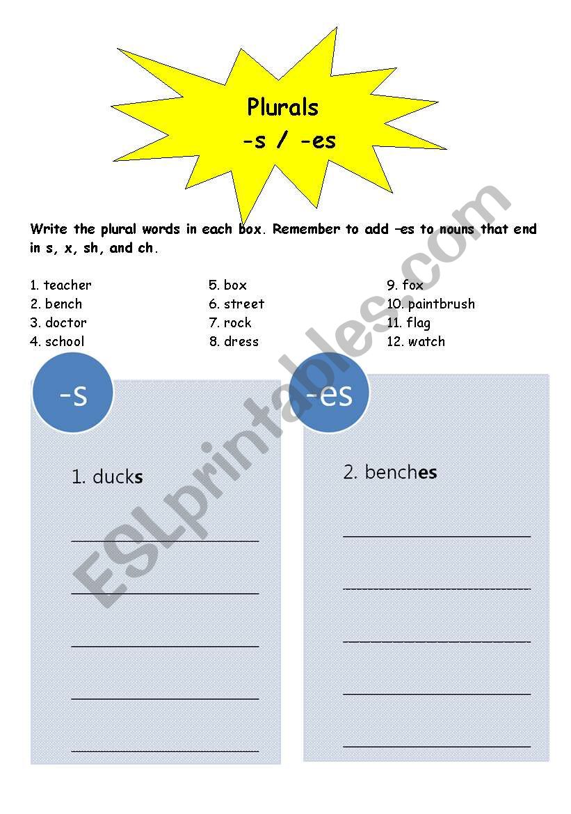 Plurals worksheet