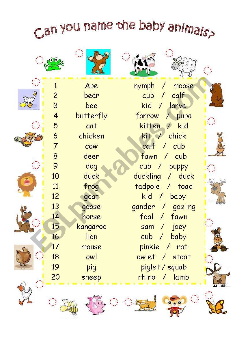 Can you name the baby animals? - ESL worksheet by Renei