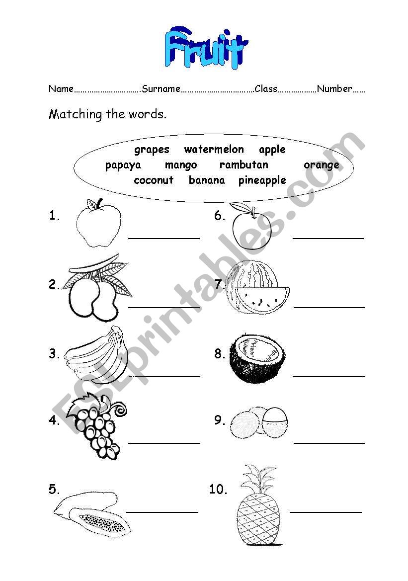 fruit worksheet