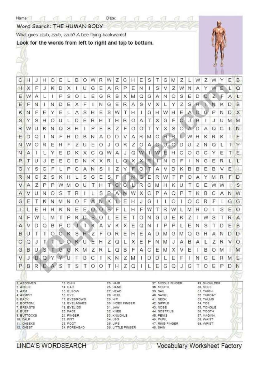 WORDSEARCH: THE HUMAN BODY worksheet