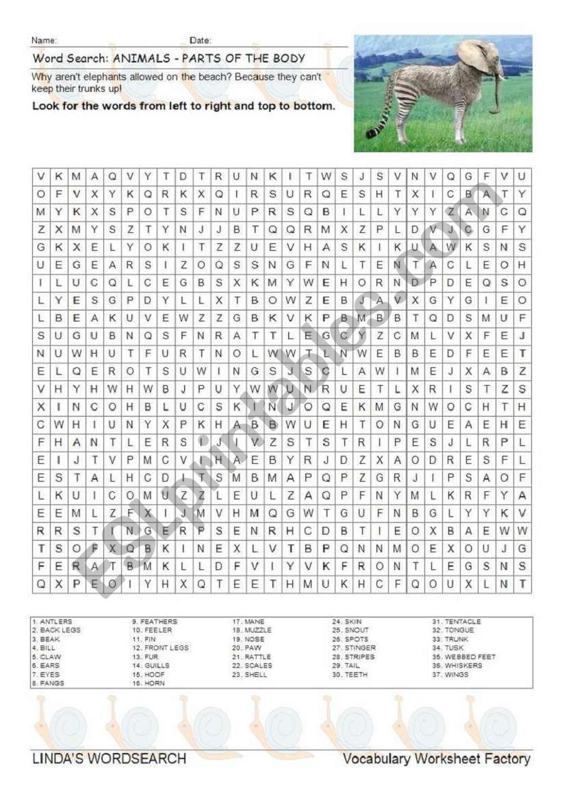 WORDSEARCH: PARTS OF THE ANIMAL BODY