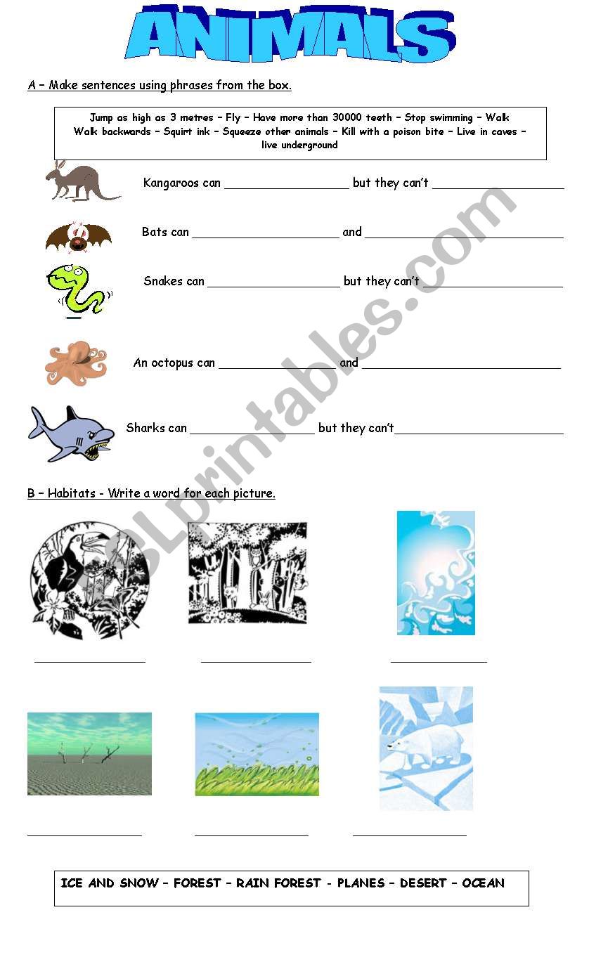 Vocabulary: Animals  and Habitats