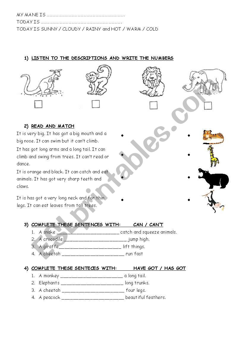 Animals descriptions worksheet