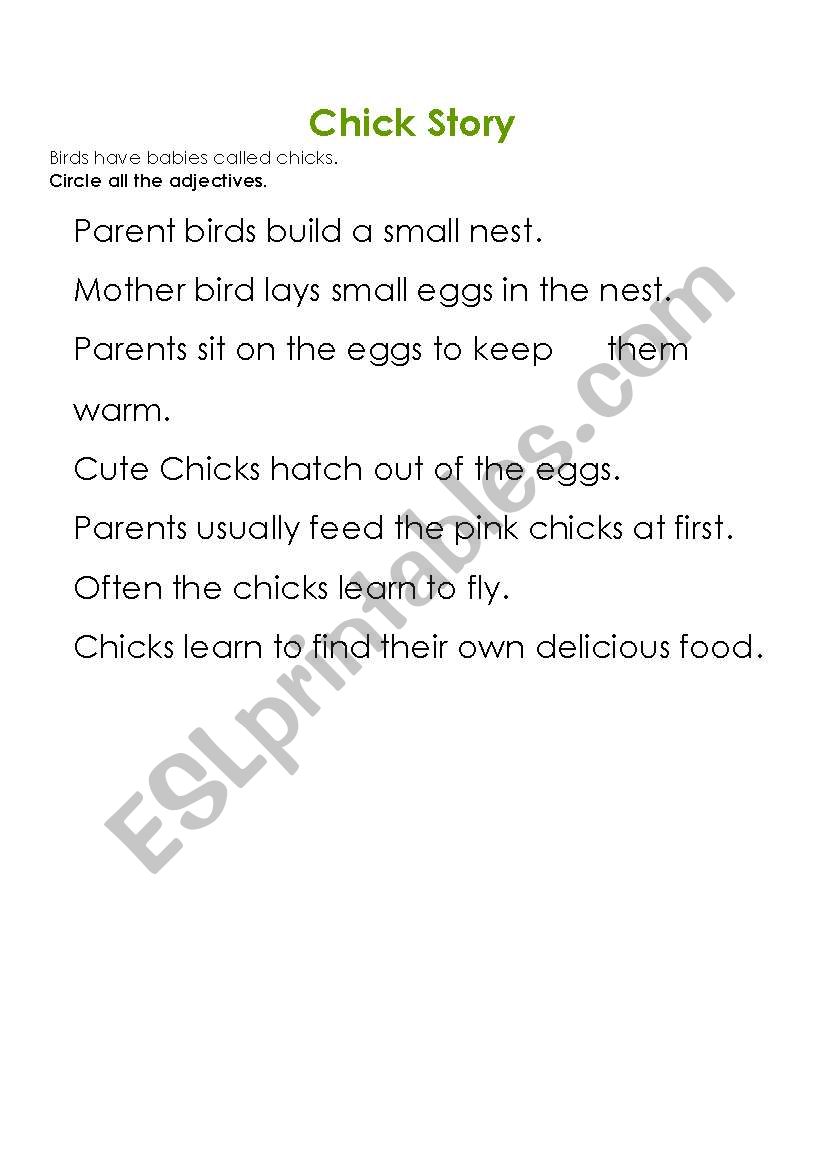 Chick story worksheet