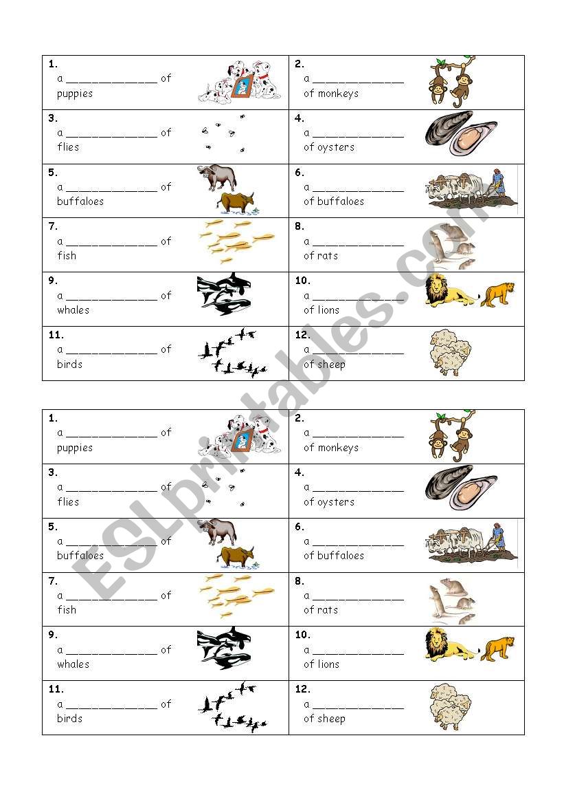 Collective Noun Cards and Exercise