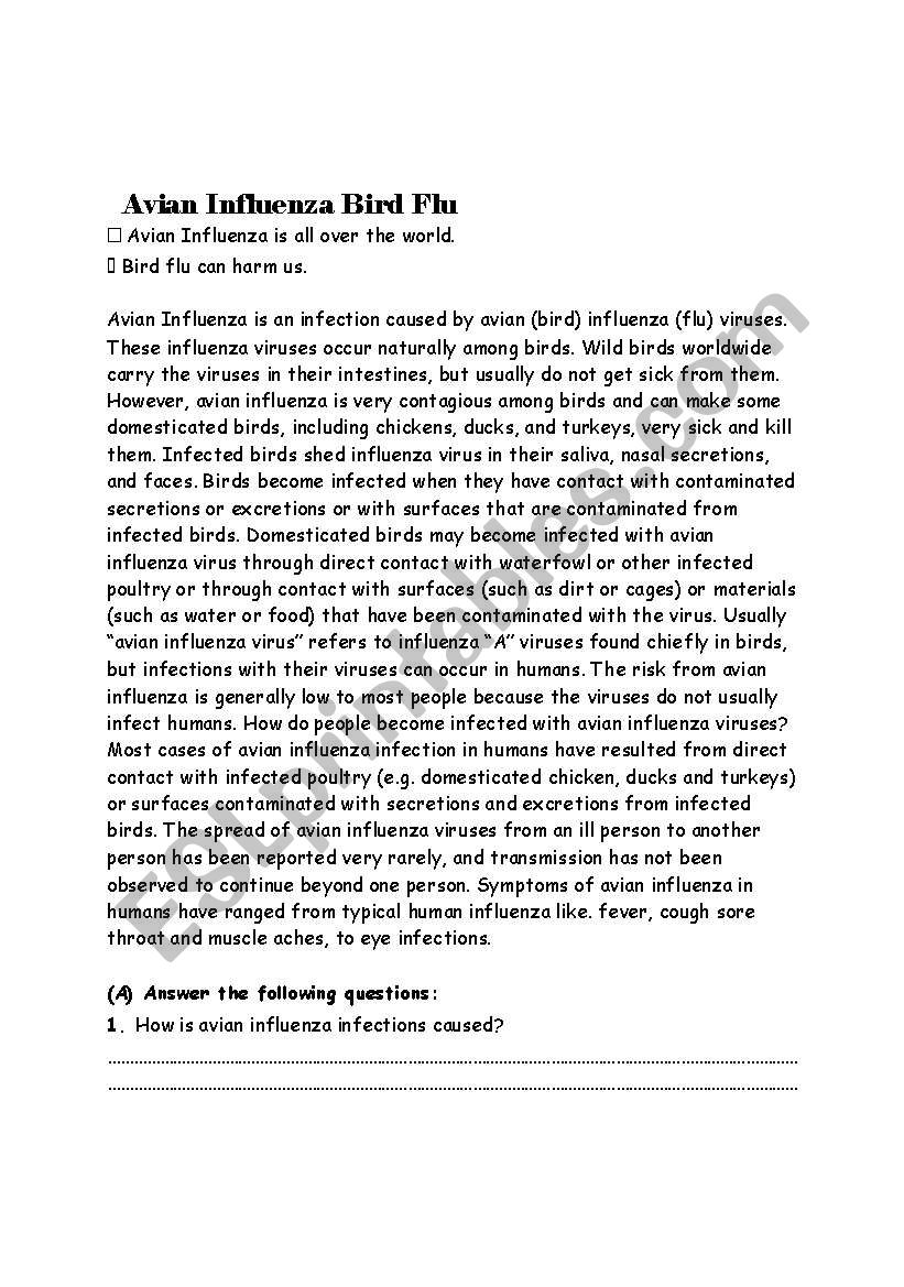 Avian Influenza Bird Flu worksheet