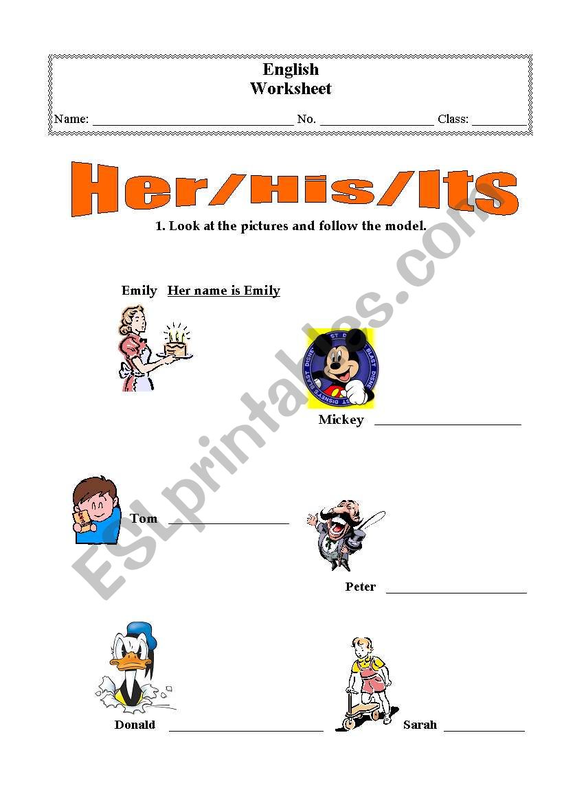 Her /His/Its worksheet