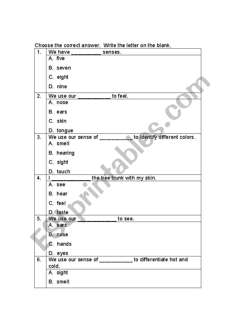 Senses of Touch and Sight worksheet