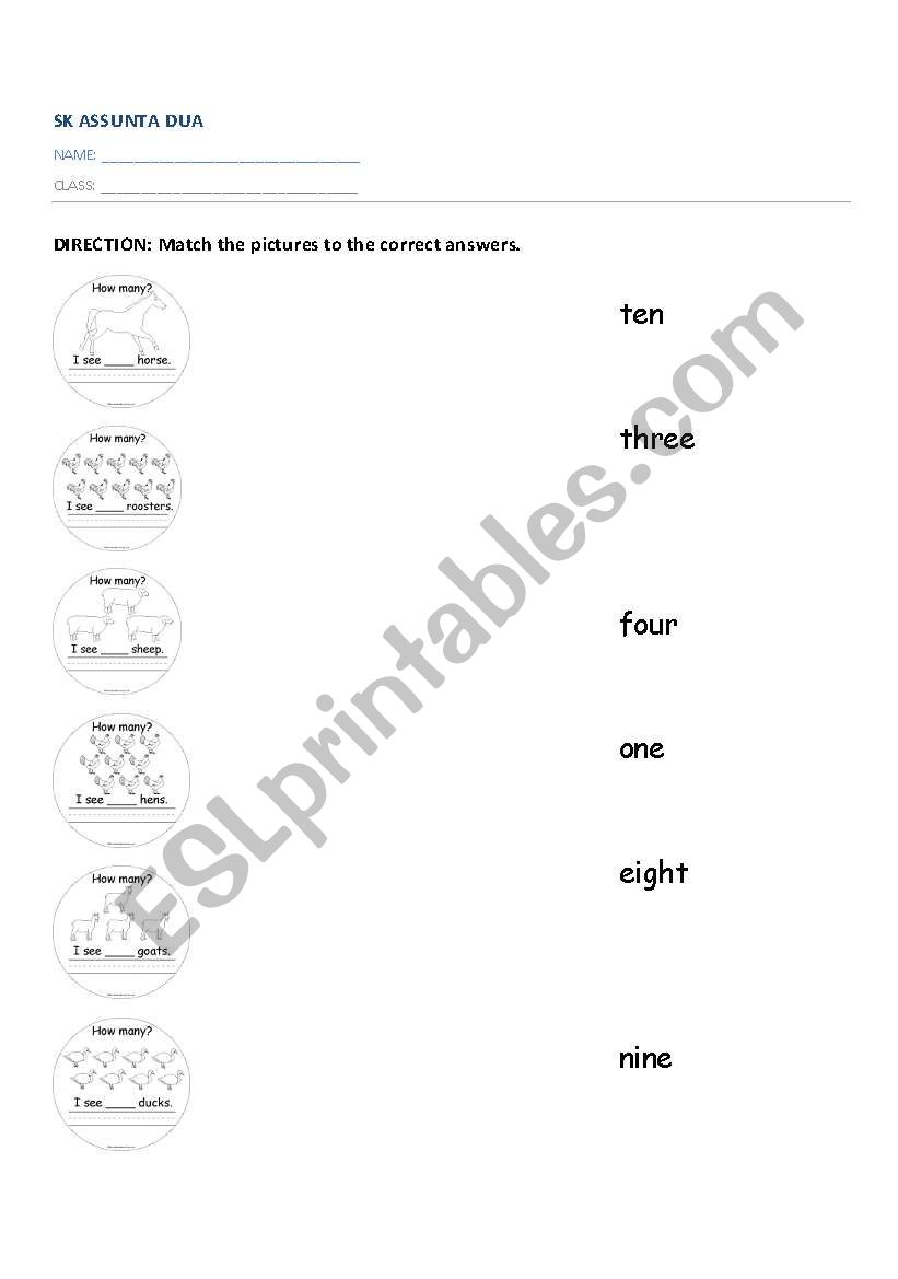 numbers worksheet