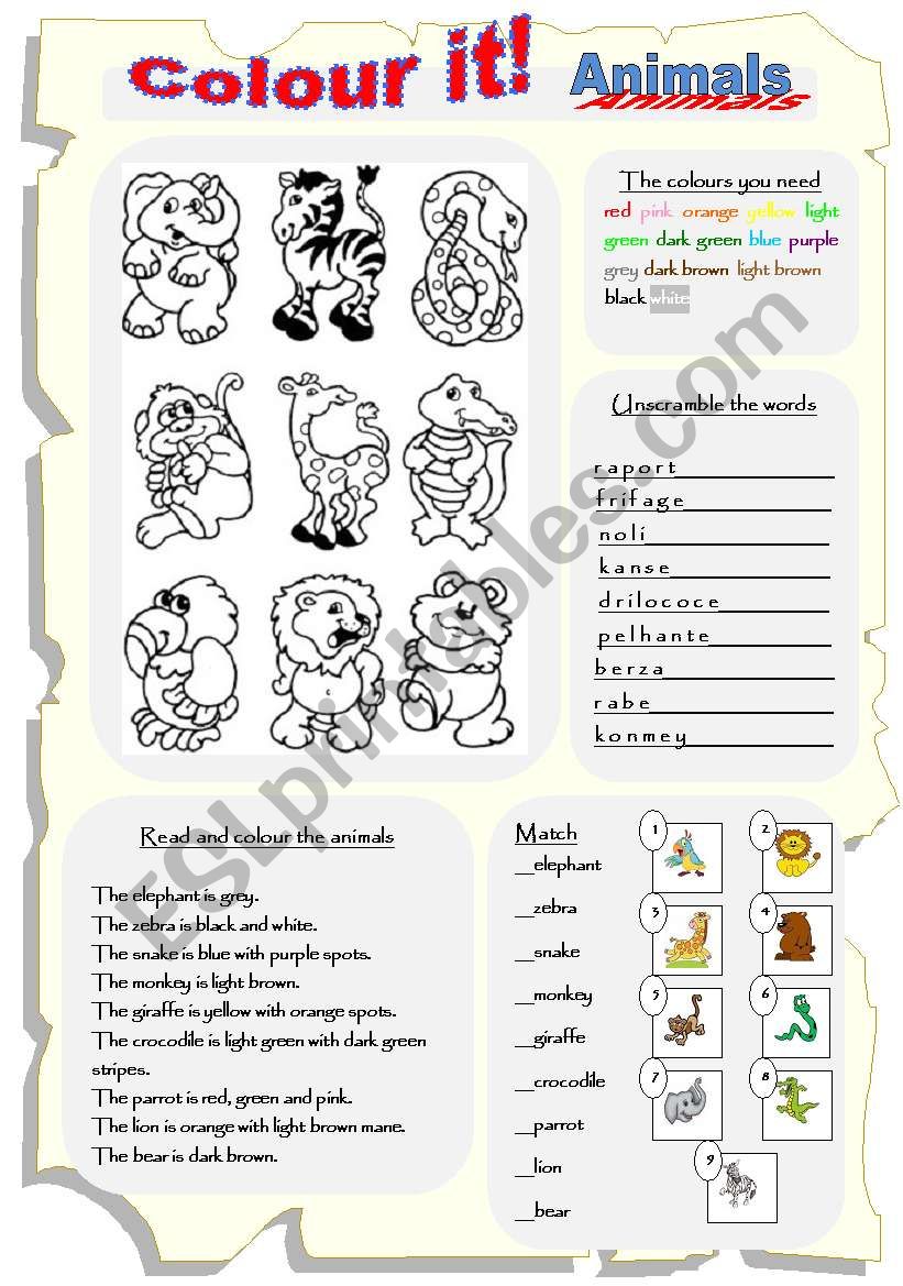 Colour it! Animals. worksheet