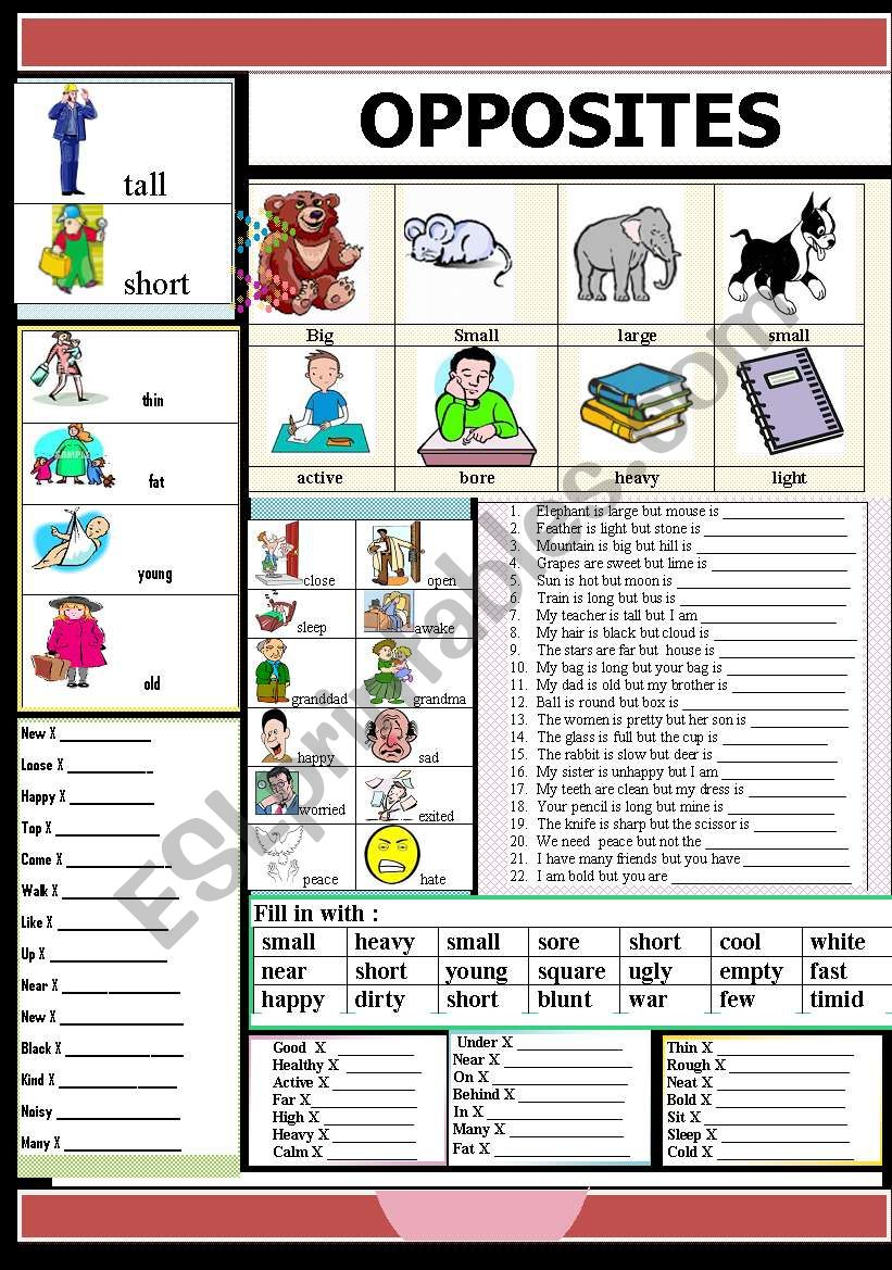 OPPOSITES worksheet