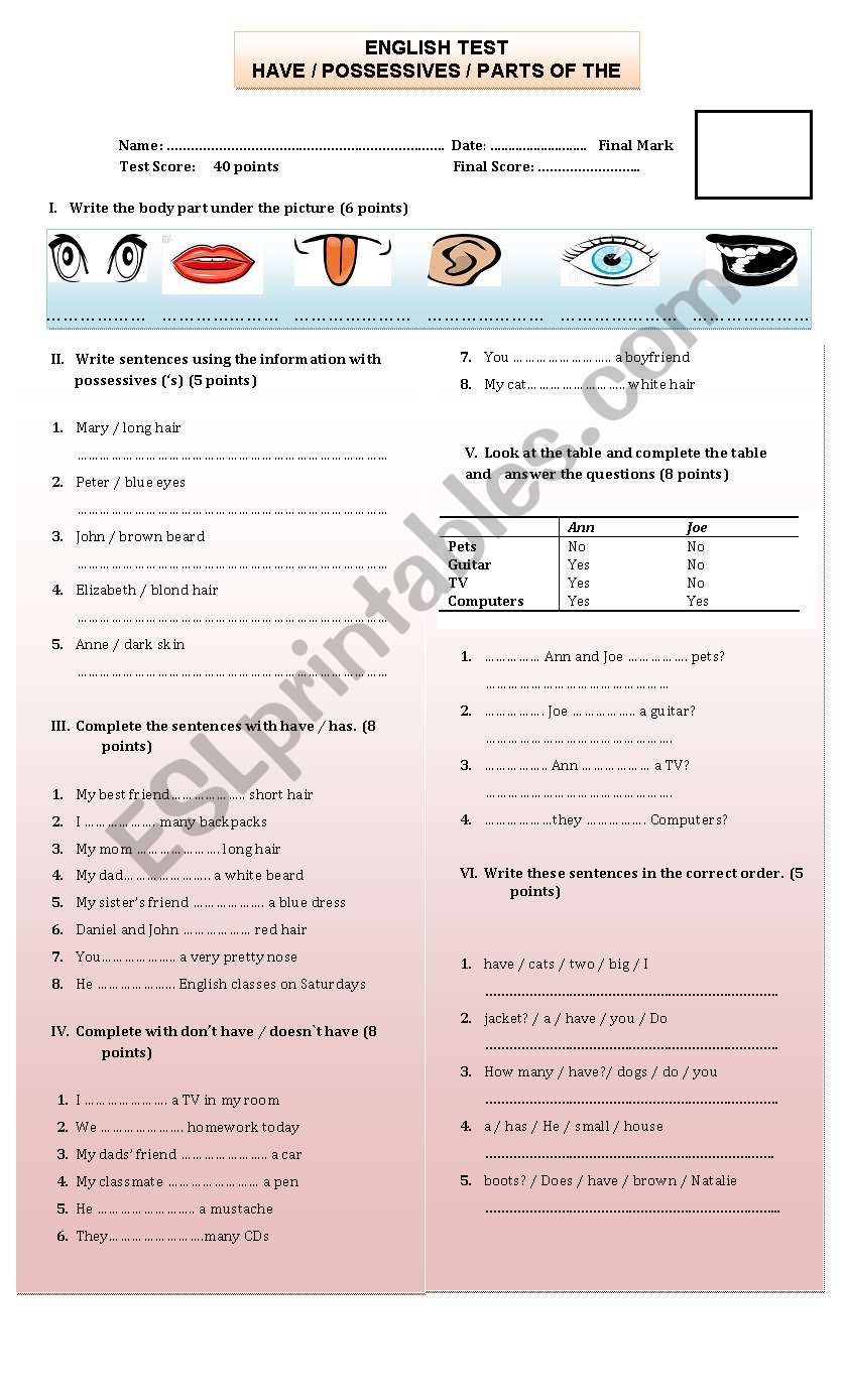 TEST HAVE worksheet