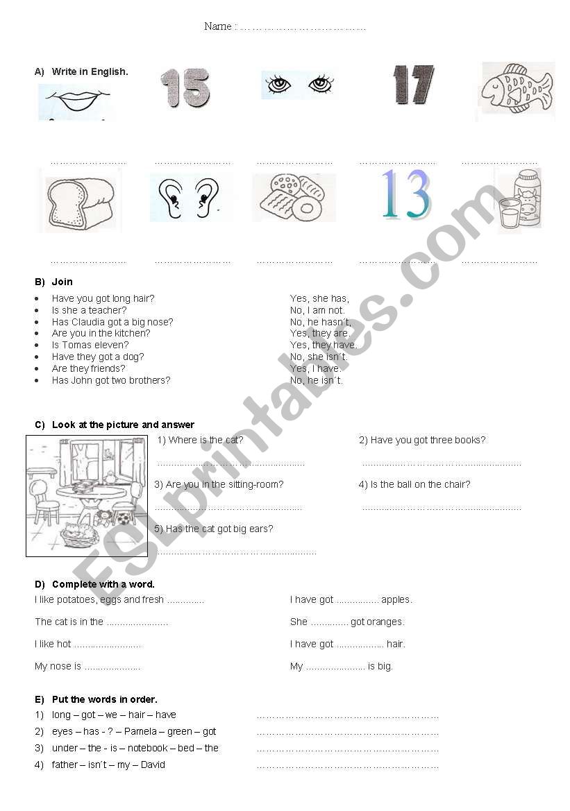 HAVE GOT + TO BE revision worksheet