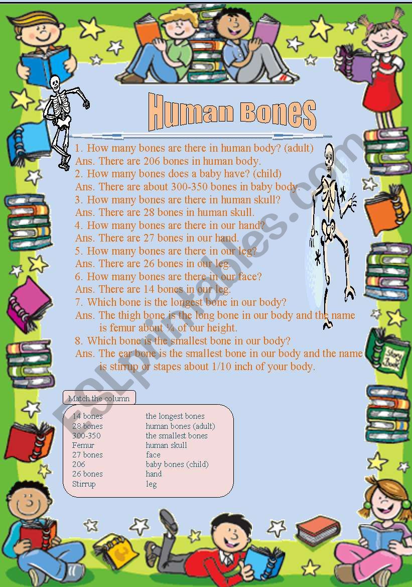 Human Bones worksheet