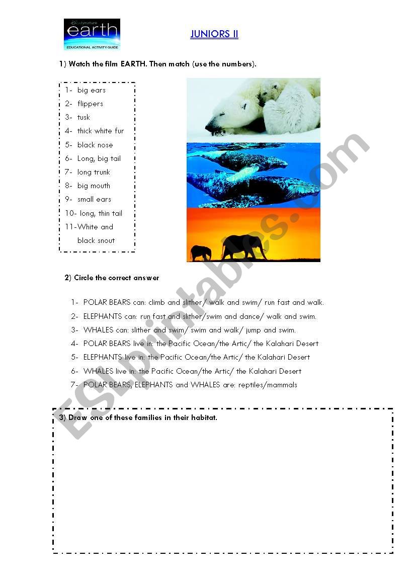 EARTH-ANIMALS worksheet