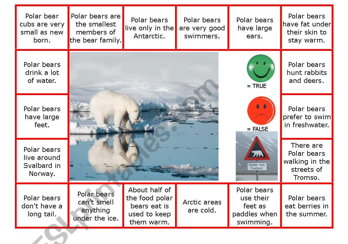 Polar bear - true or false worksheet