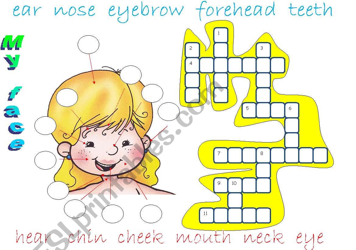 My face worksheet