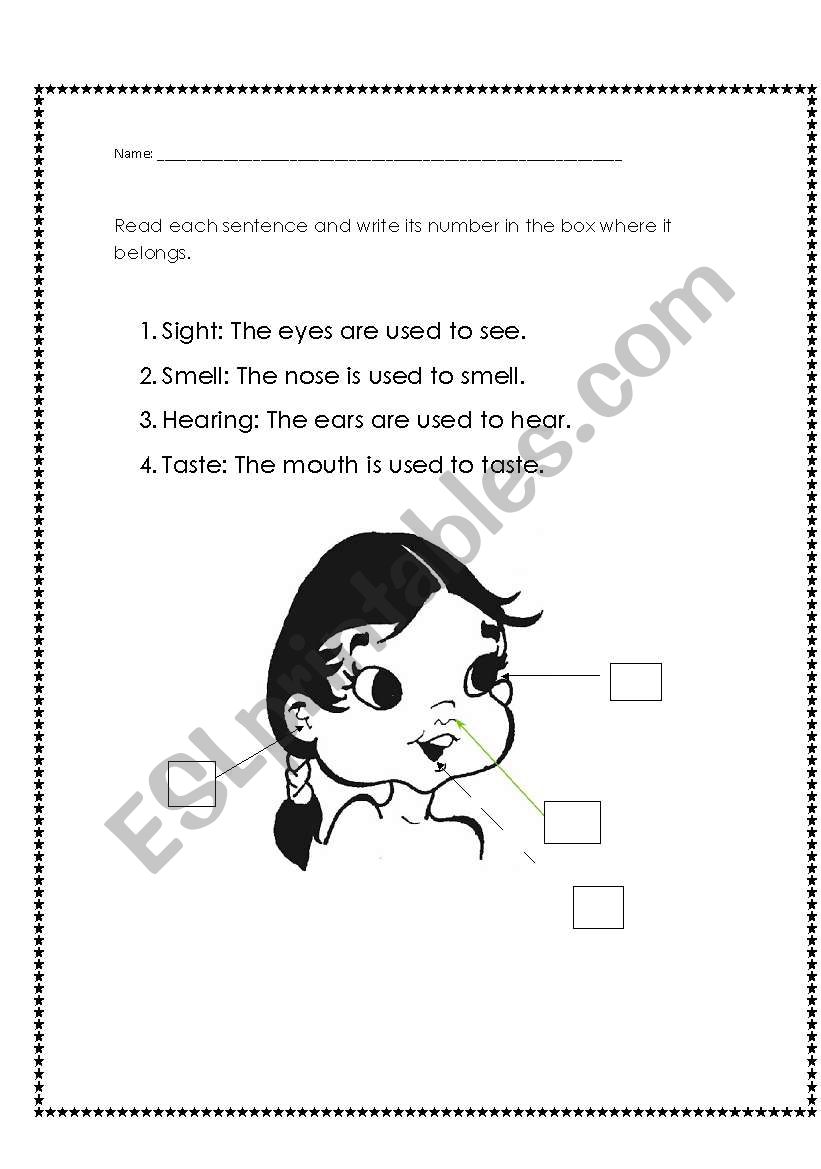 FIVE SENSES worksheet