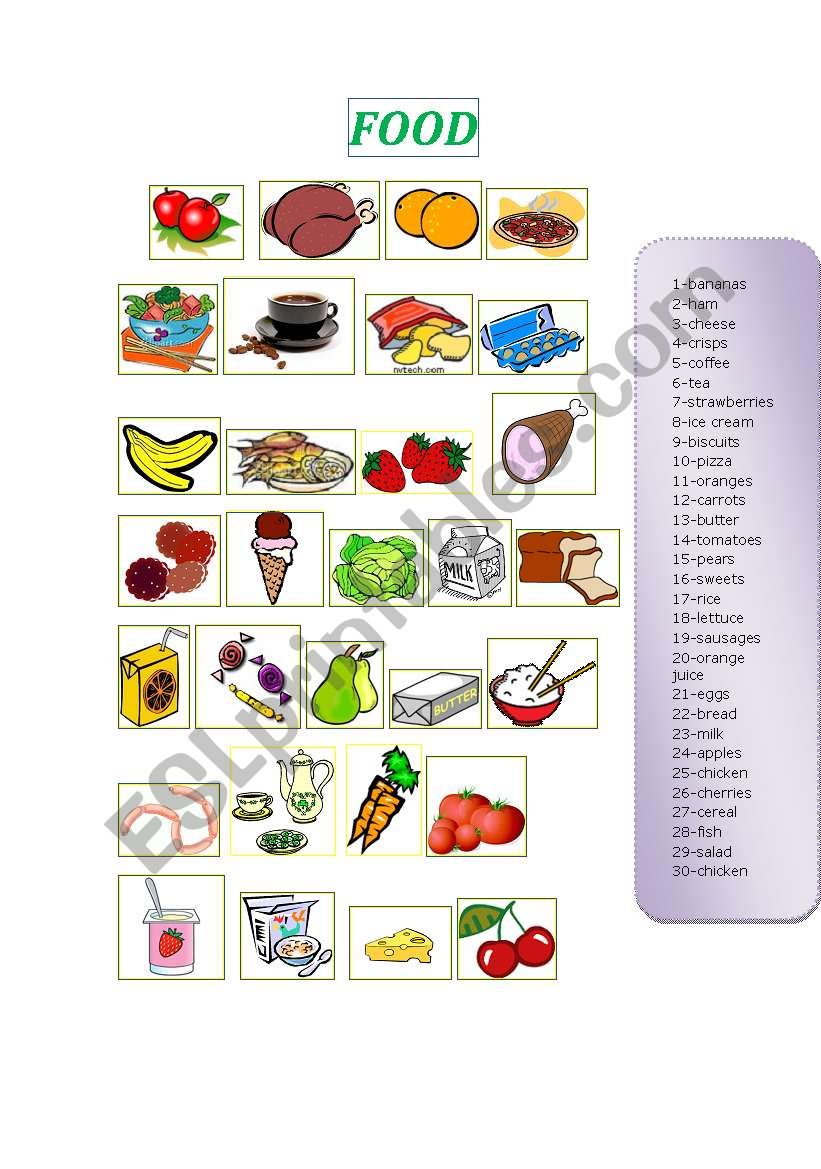 food worksheet