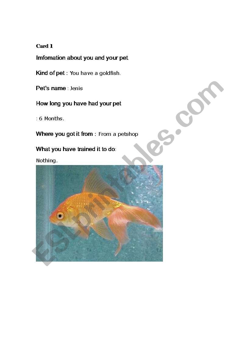 whats your pet worksheet