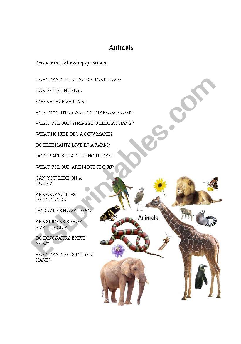 ANIMALS worksheet