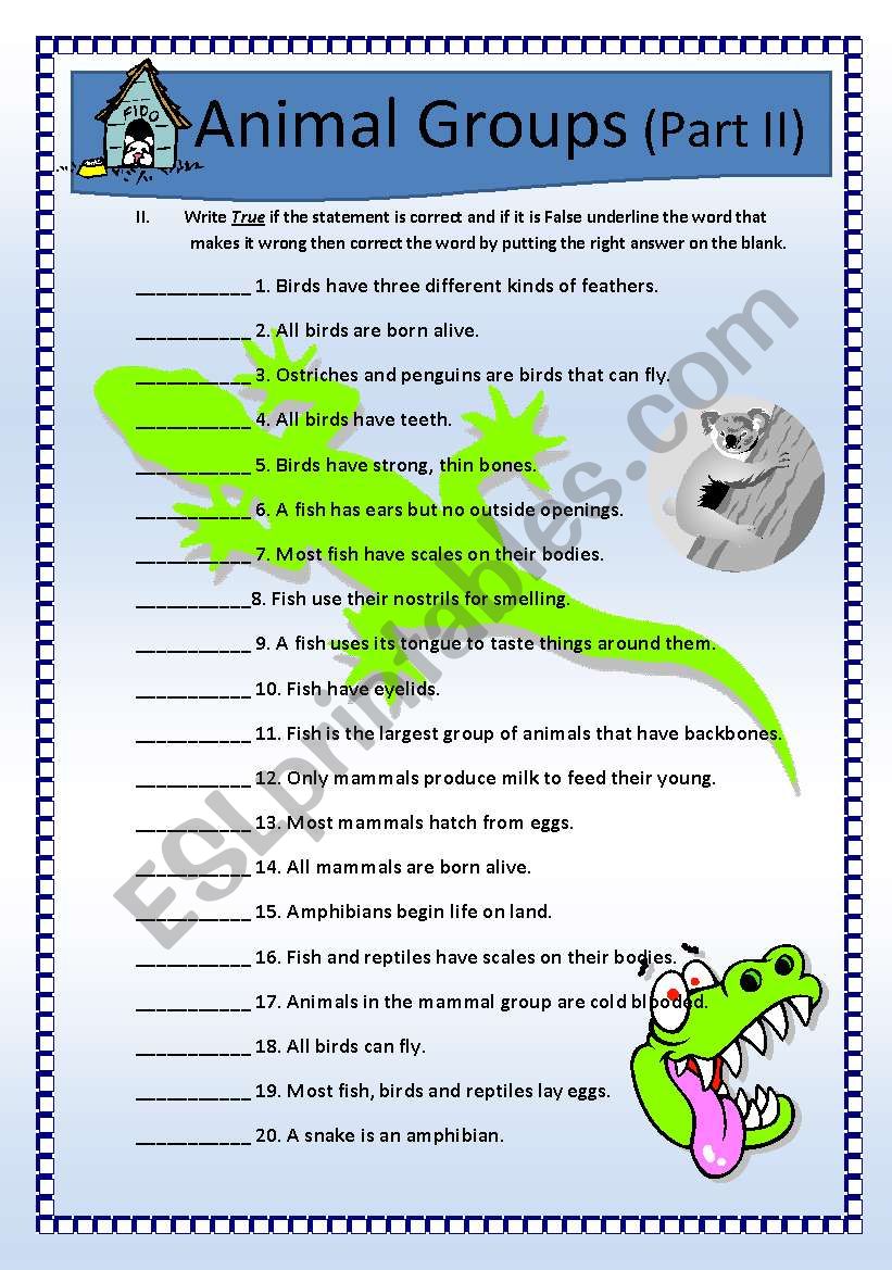 Science Animals Classification Qanda Part Ii Esl Worksheet By Malyn