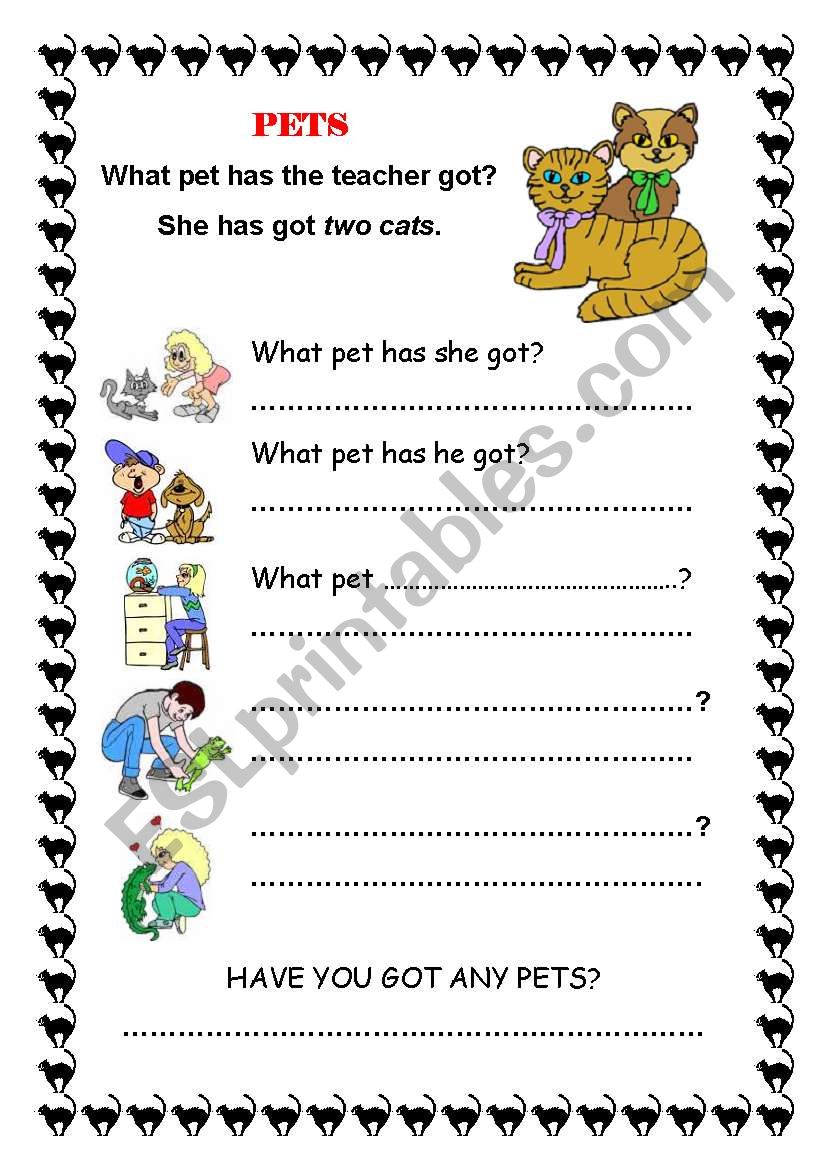 What pets   has he/she got?  worksheet