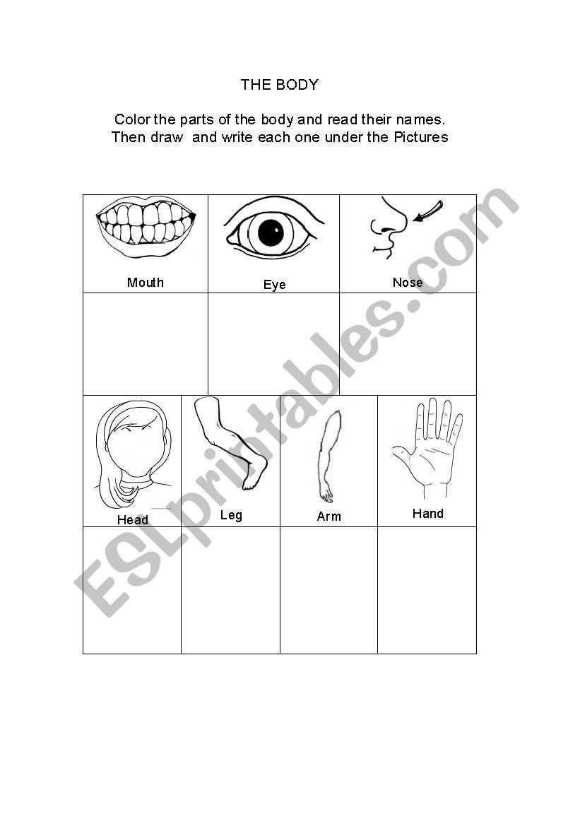 Parts of the body worksheet