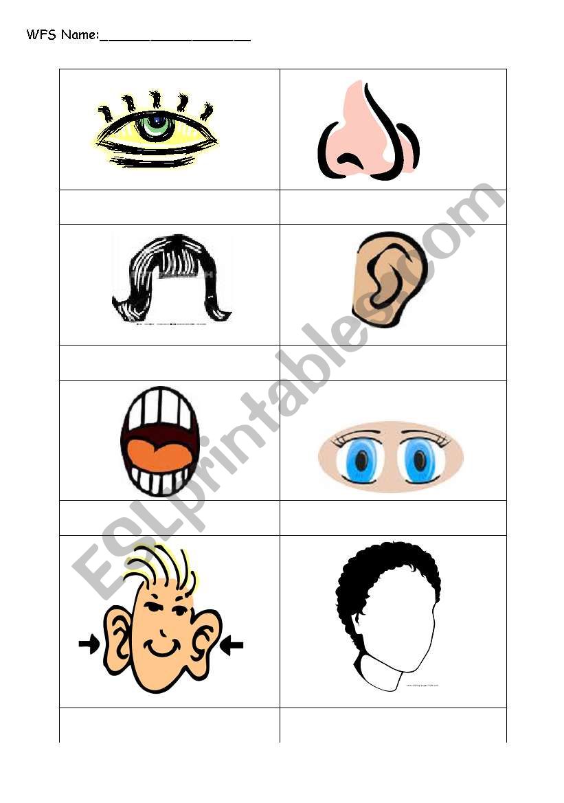 face worksheet