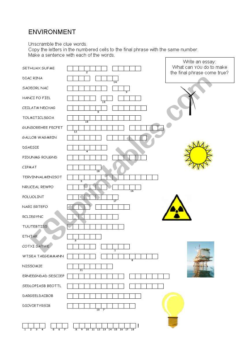 Environment - Double Puzzle worksheet