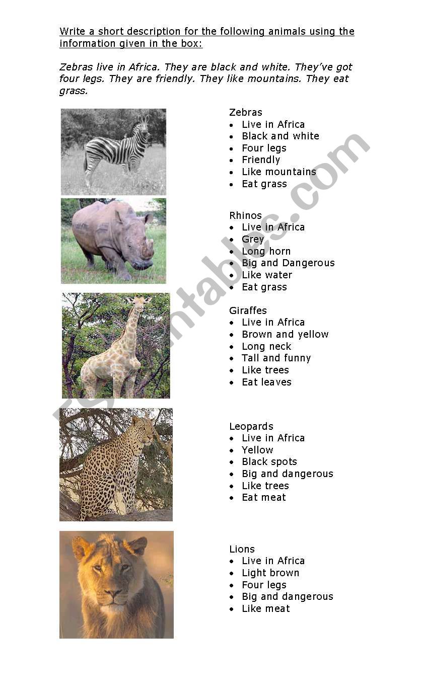 animal description worksheet